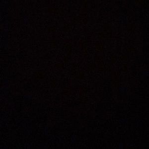 Meet your Posher, Timothy